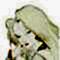 Calliope's Avatar