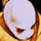 Zyx's Avatar