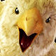 Omecle's Avatar