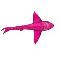 Brian The Pink Shark
